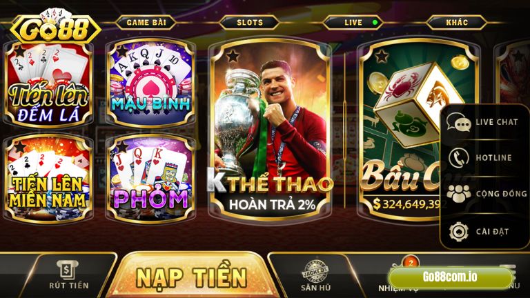 Banner www.camchimdatviet.com